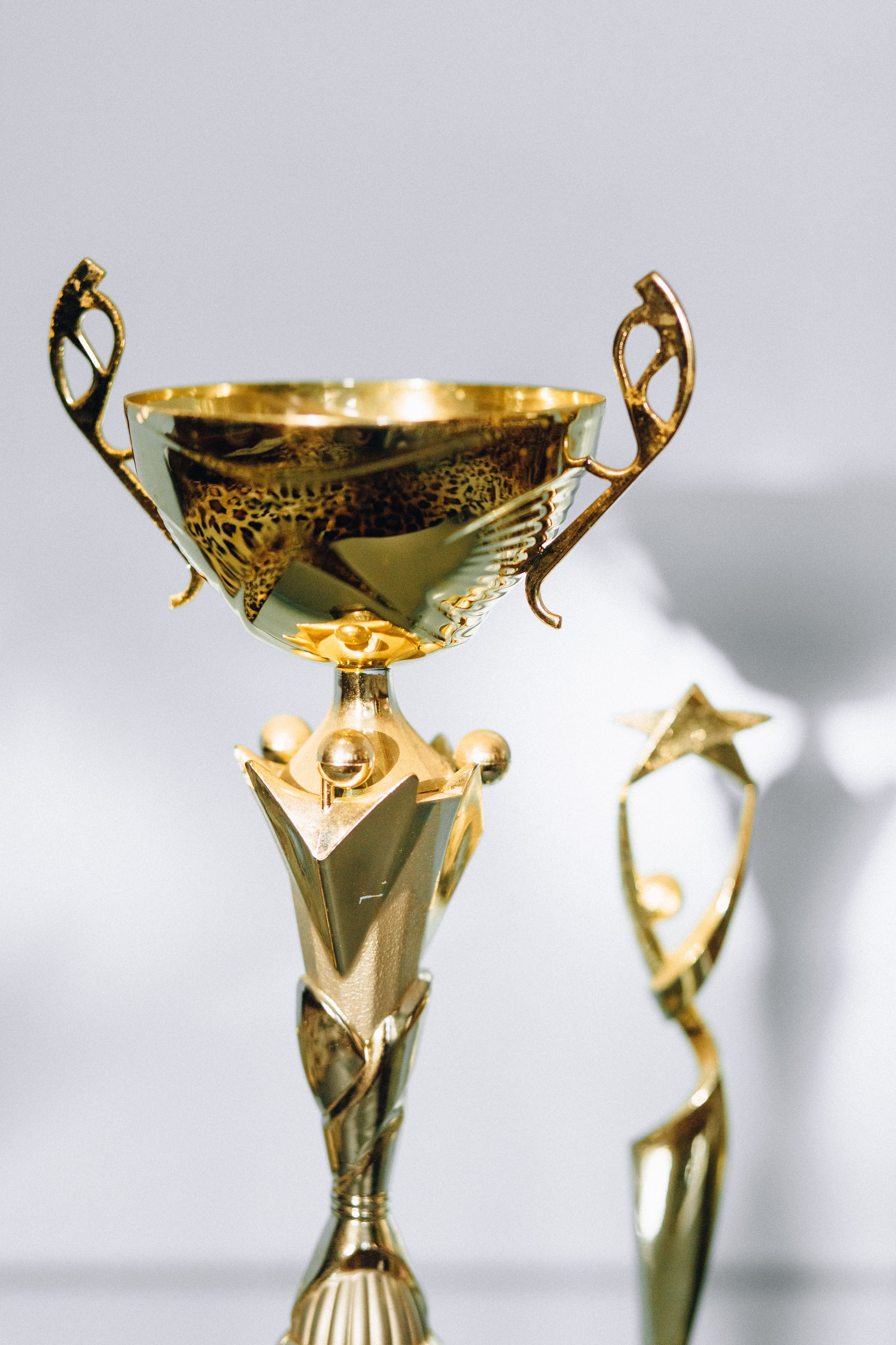 Gold Plated Medal